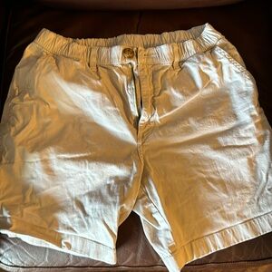 Chubbies Khaki Shorts